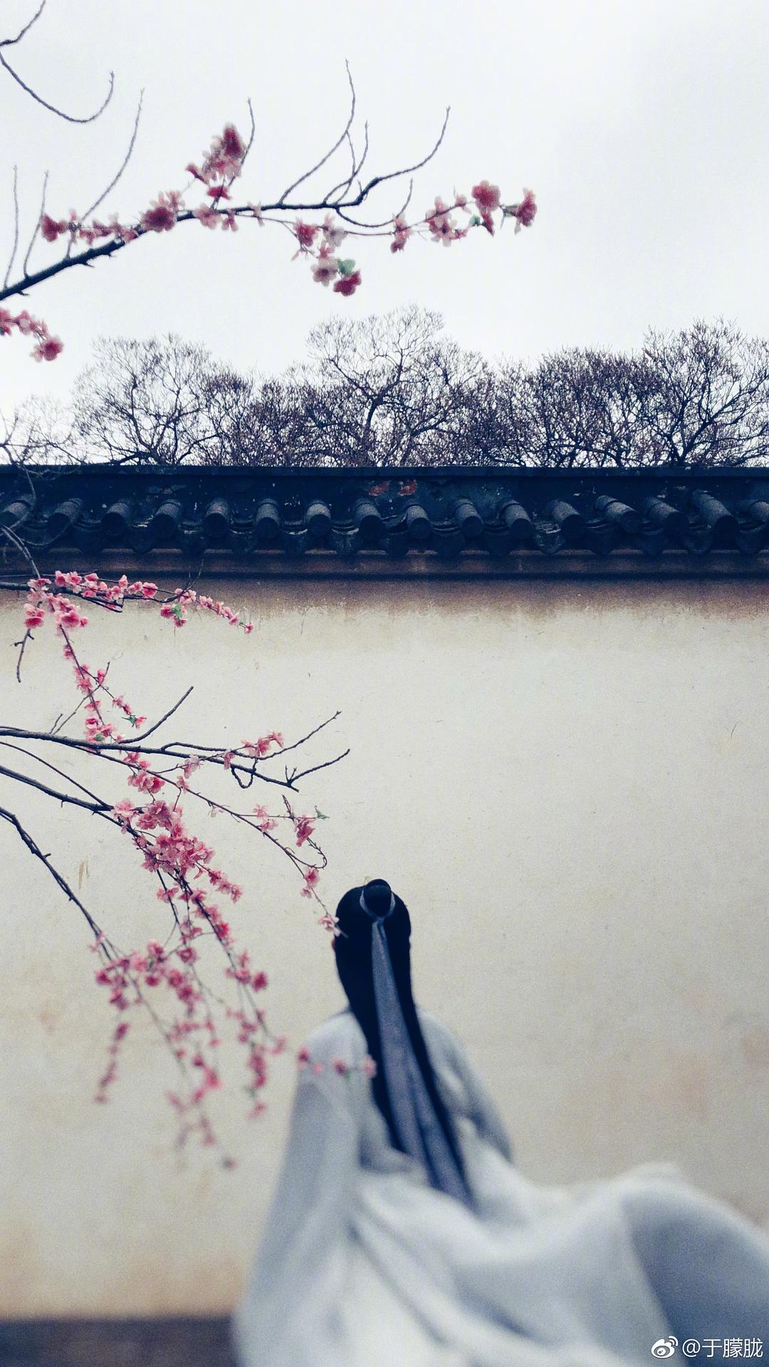 《新白娘子传奇》剧照