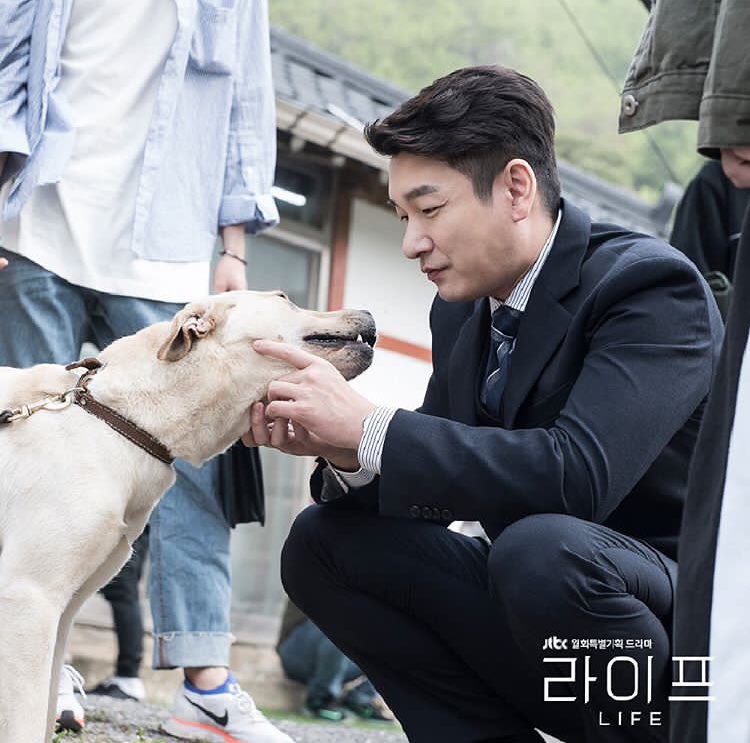 《Life》海报第36张图片