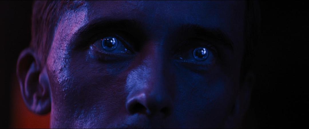 《升级》海报第59张图片