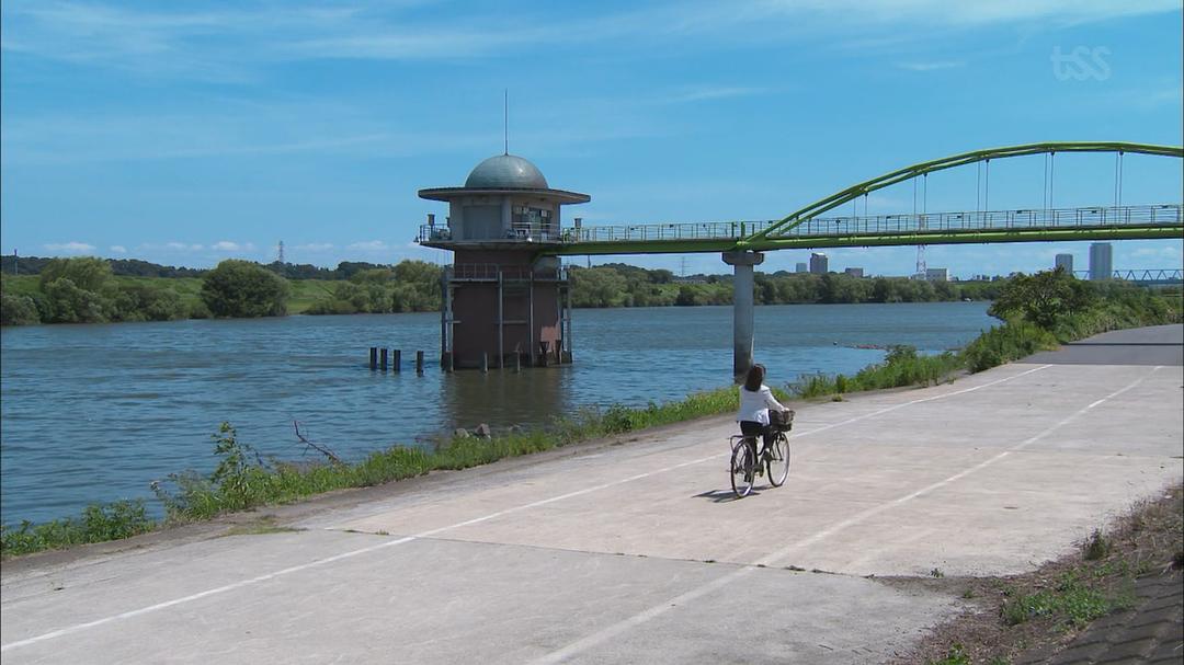 《健康又文明的最低限度生活》海报第59张图片