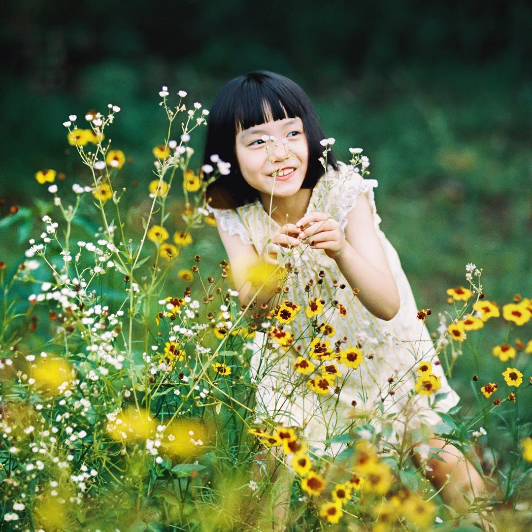 《在这世界的角落》剧照