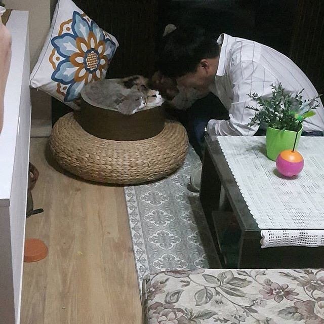 车太铉(飾趙碩武)