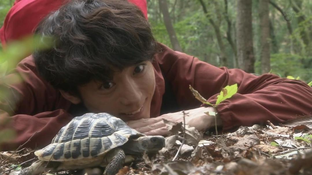 《我们由奇迹构成》海报第30张图片