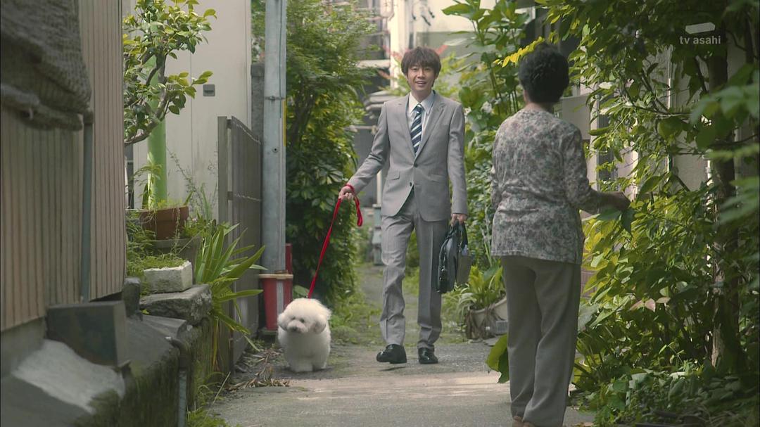 《我与尾巴与神乐坂》剧照第46张图片