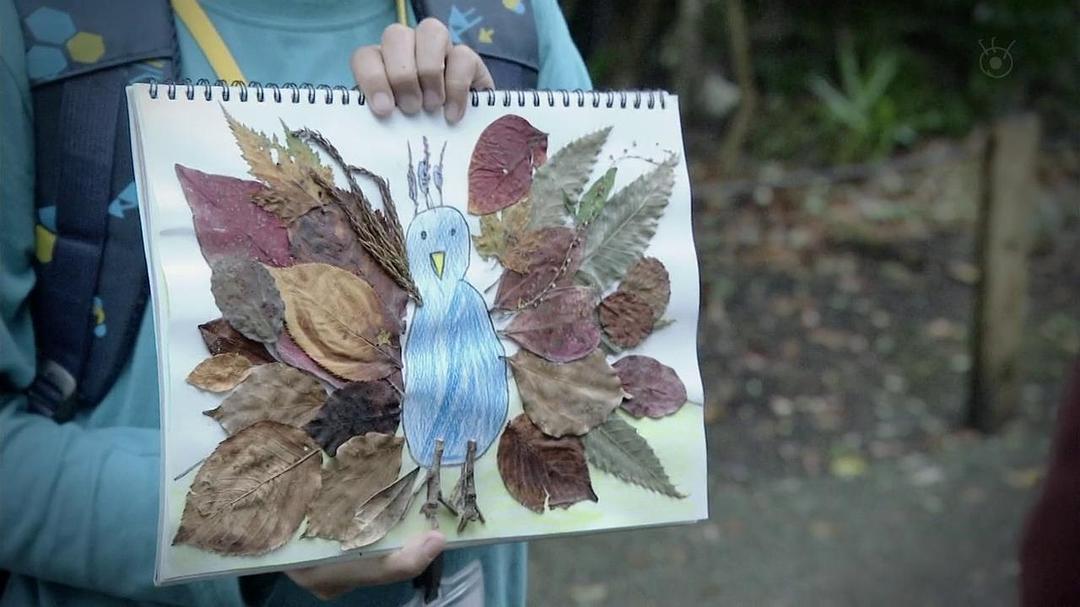 《我们由奇迹构成》海报第15张图片