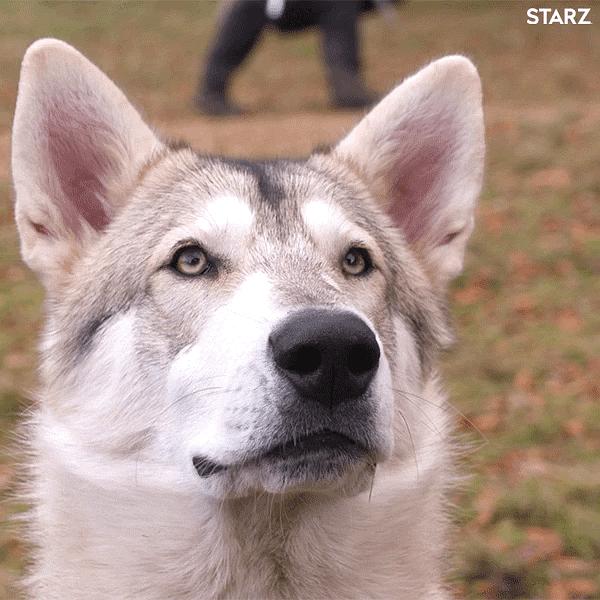《古战场传奇第四季》剧照第15张图片