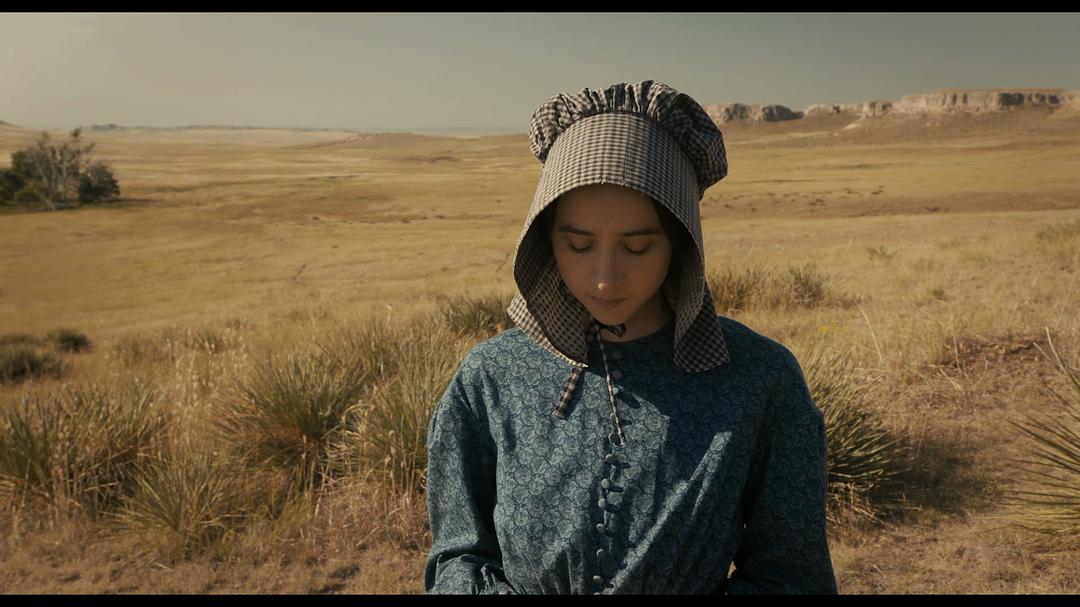 《巴斯特·斯克鲁格斯的歌谣》海报第49张图片