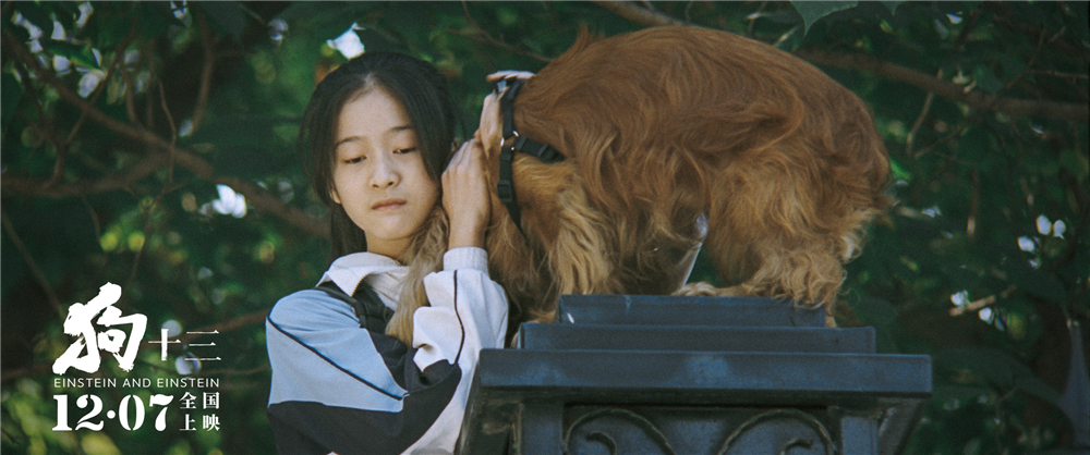 《狗十三》海报第8张图片