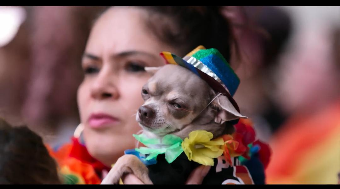 《爱犬情深第一季》剧照第21张图片