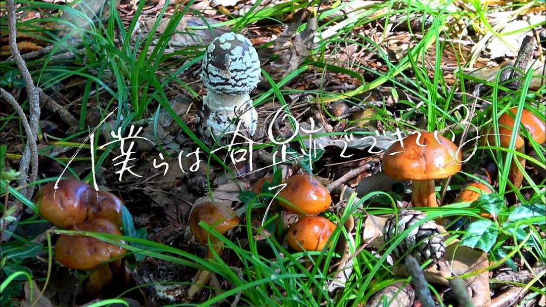 片头最后一幕-第七集