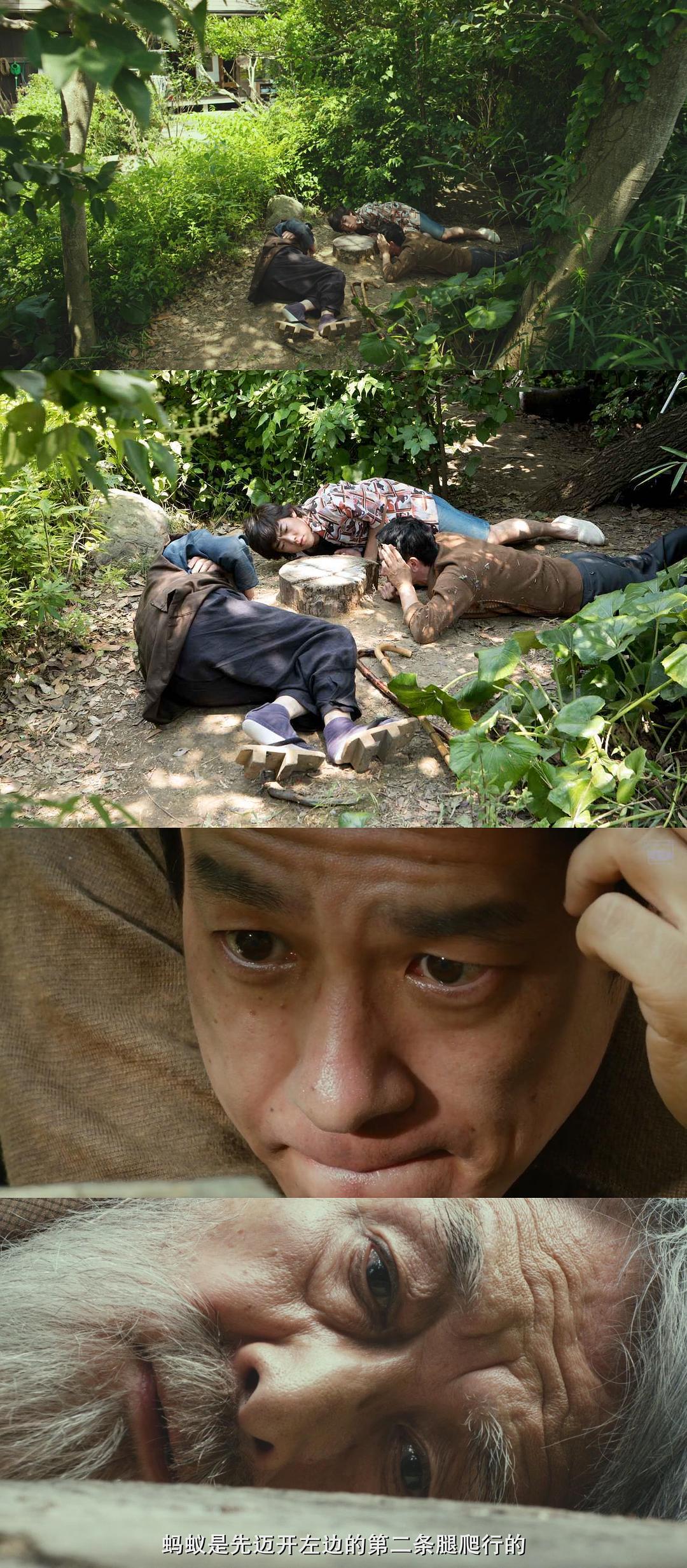 《有熊谷守一在的地方》剧照