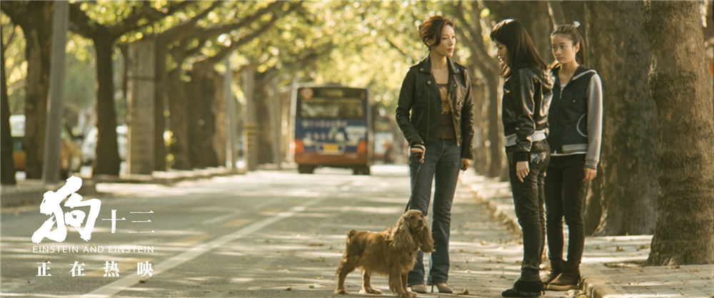 《狗十三》海报第30张图片