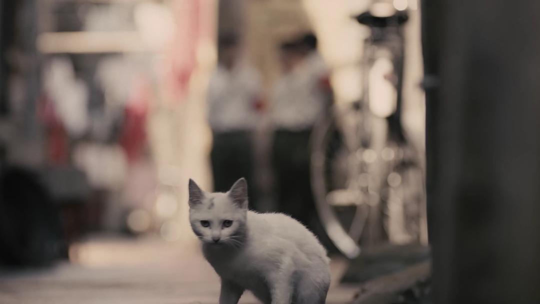 《外滩钟声》剧照第36张图片