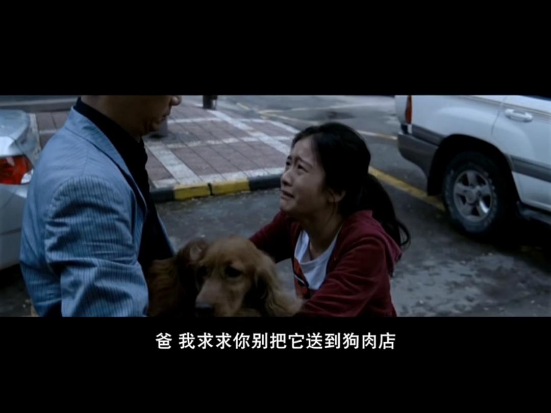 《狗十三》海报第27张图片