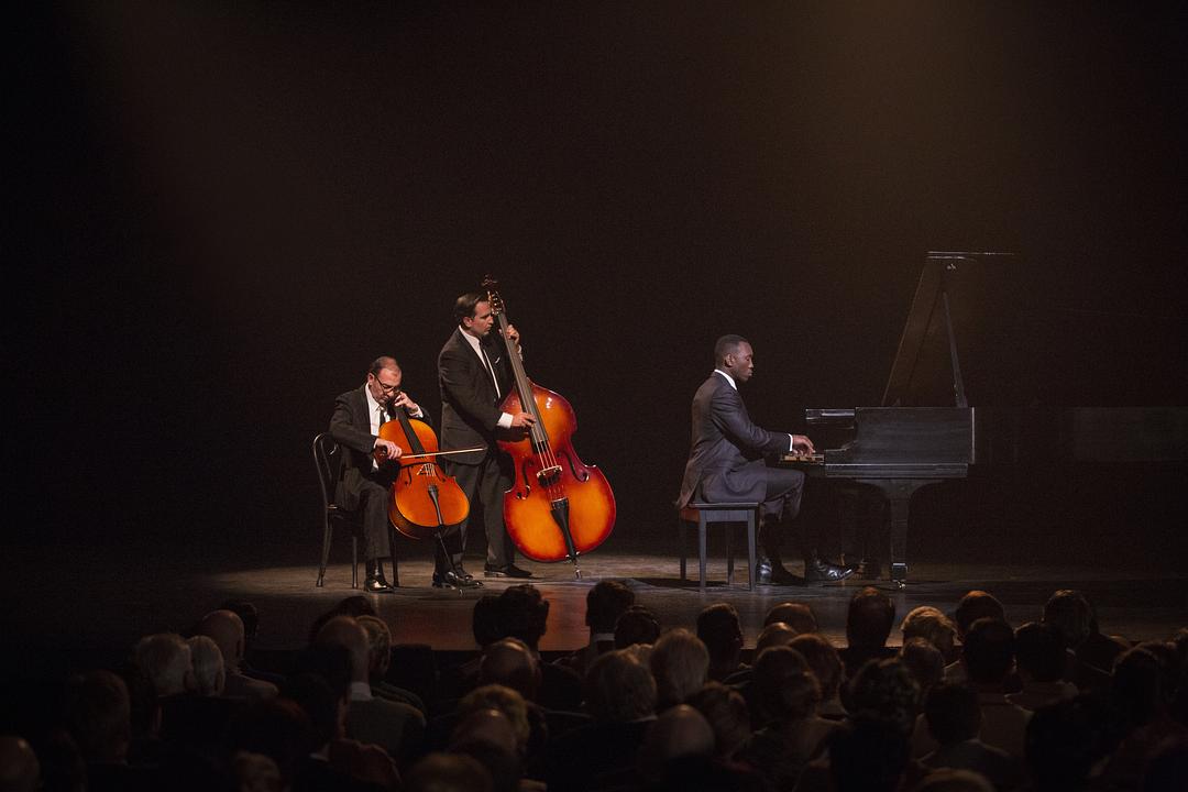 《绿皮书》海报第23张图片