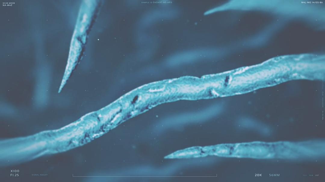 工作时间严禁撩妹