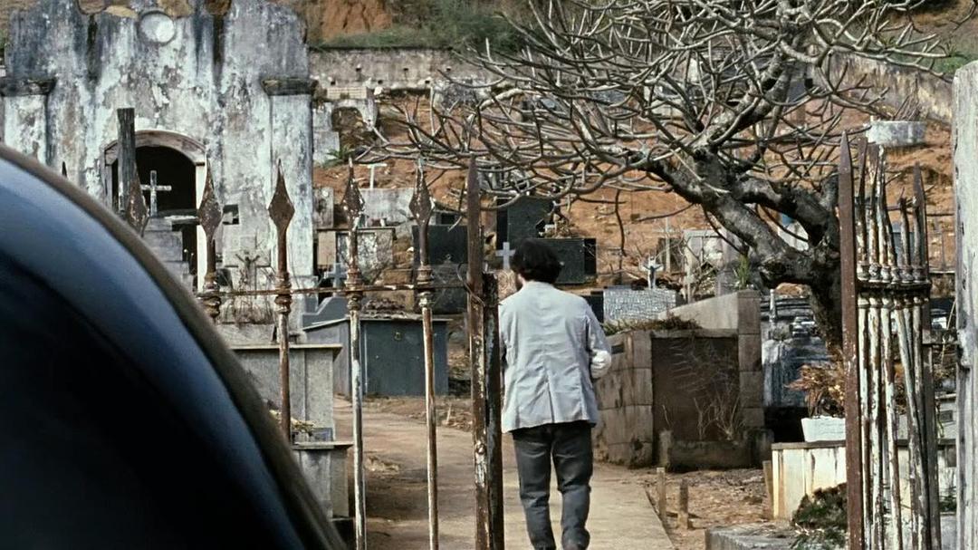 《我亲爱的甜橙树》海报第30张图片