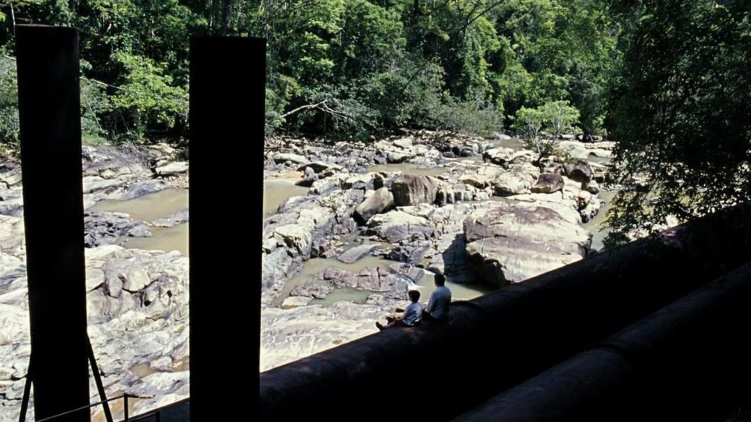 《我亲爱的甜橙树》海报第23张图片