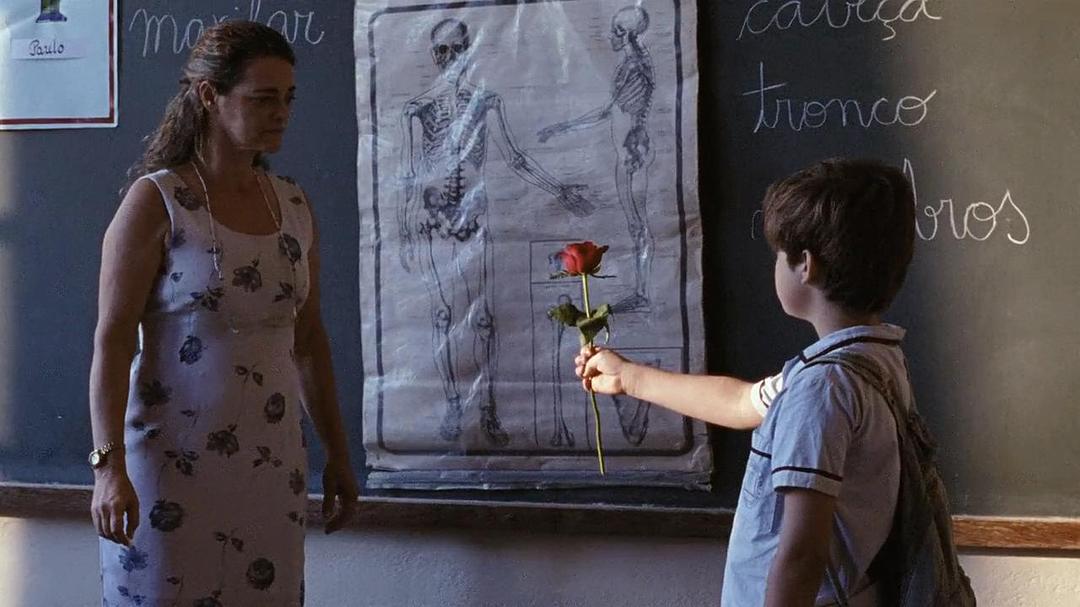 《我亲爱的甜橙树》海报第21张图片