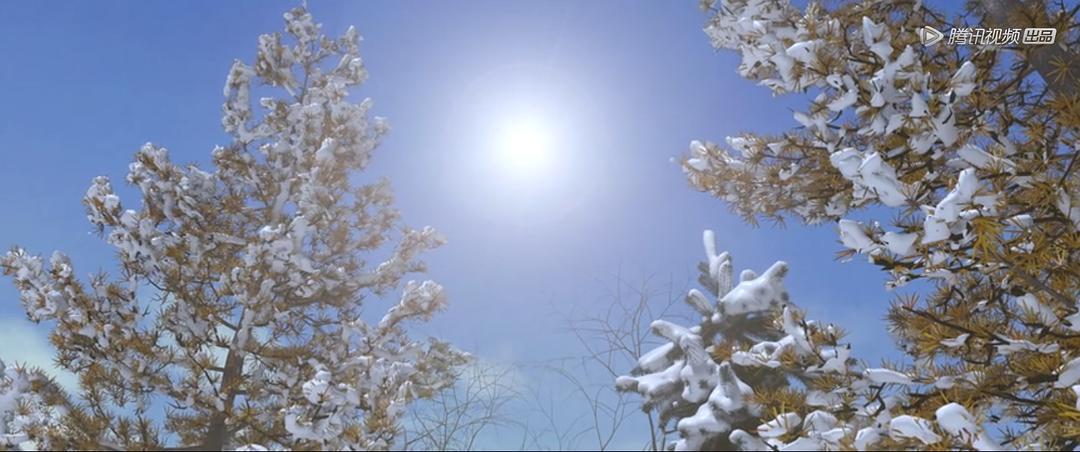 《雪鹰领主》剧照第38张图片