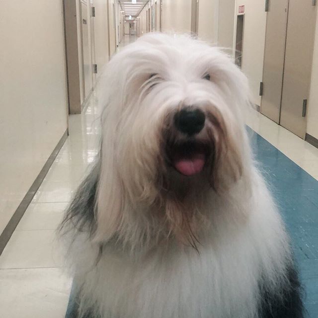 《初恋那一天所读的故事》剧照