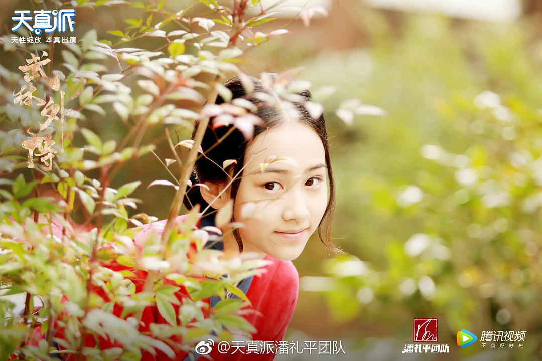 《天真派：武林外传》海报第12张图片