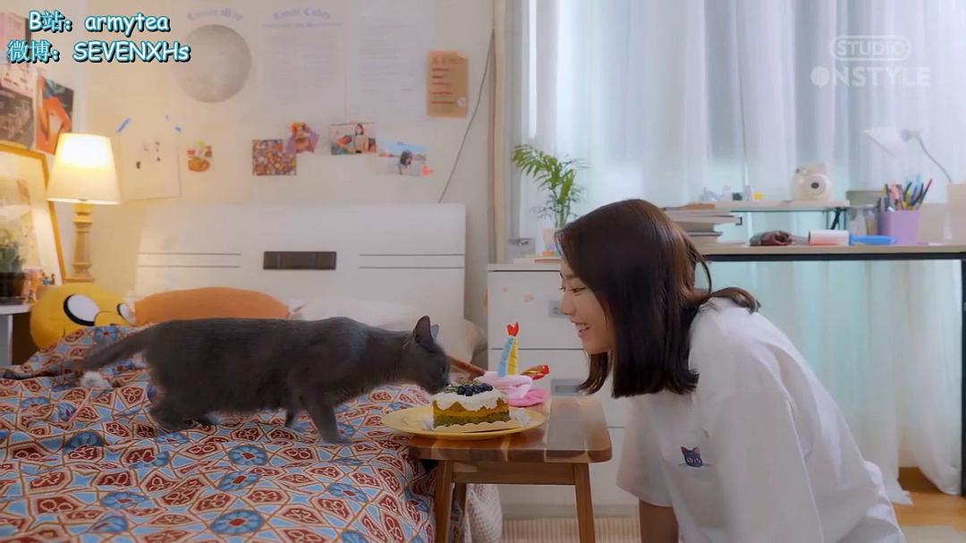 《强迫恋爱的社会》海报第21张图片