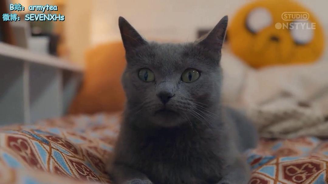 《强迫恋爱的社会》剧照