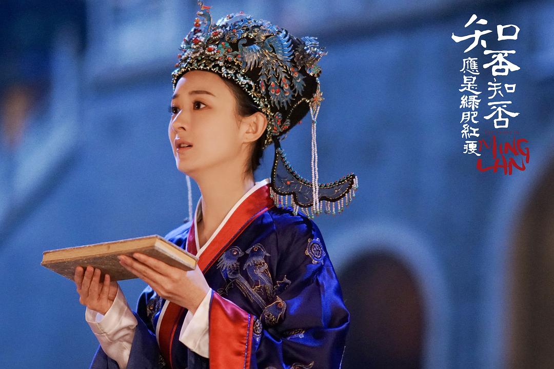 《知否知否应是绿肥红瘦》剧照第39张图片