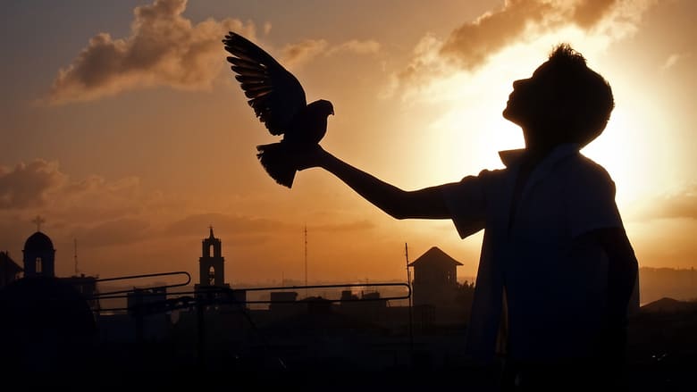 《飞不起来的童年》剧照