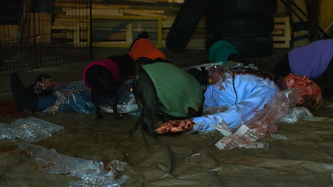 《零异频道第四季》剧照