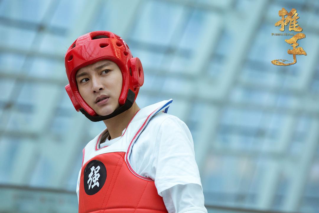 《推手》海报第44张图片