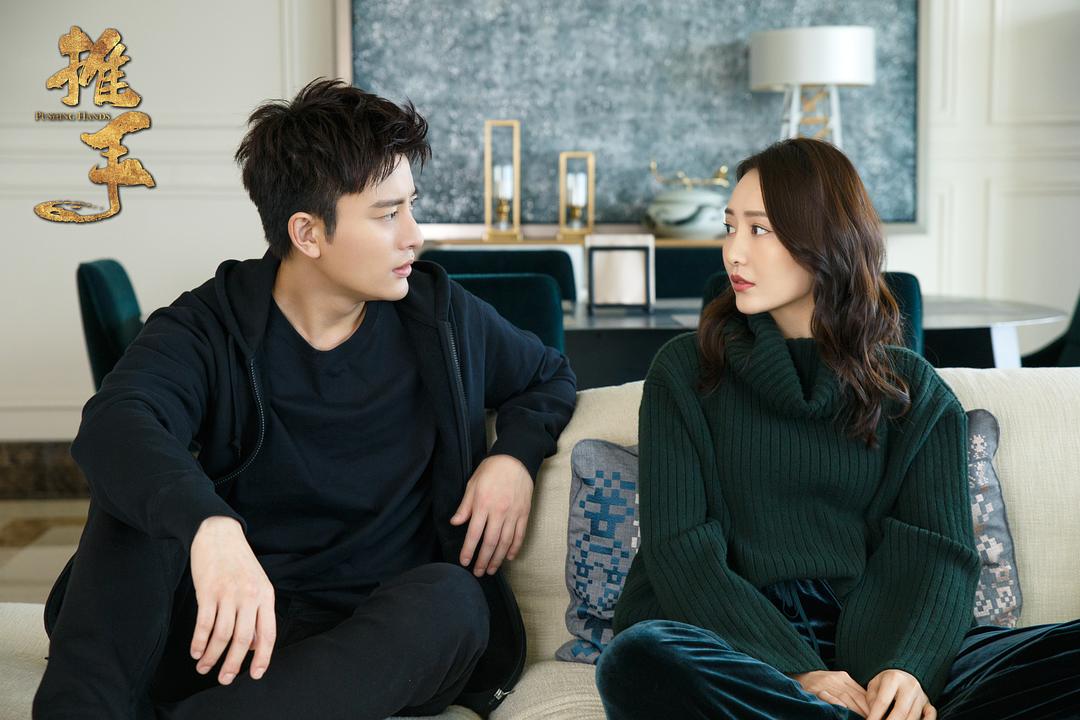 《推手》海报第31张图片