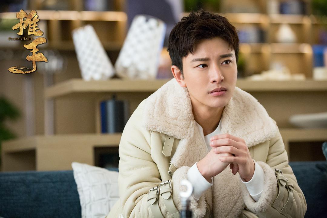 《推手》海报第28张图片