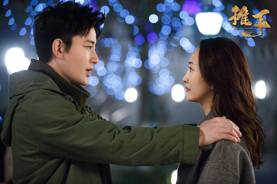 《推手》海报第24张图片