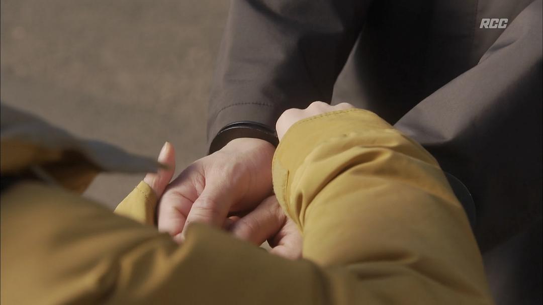 《警察之家》海报第36张图片