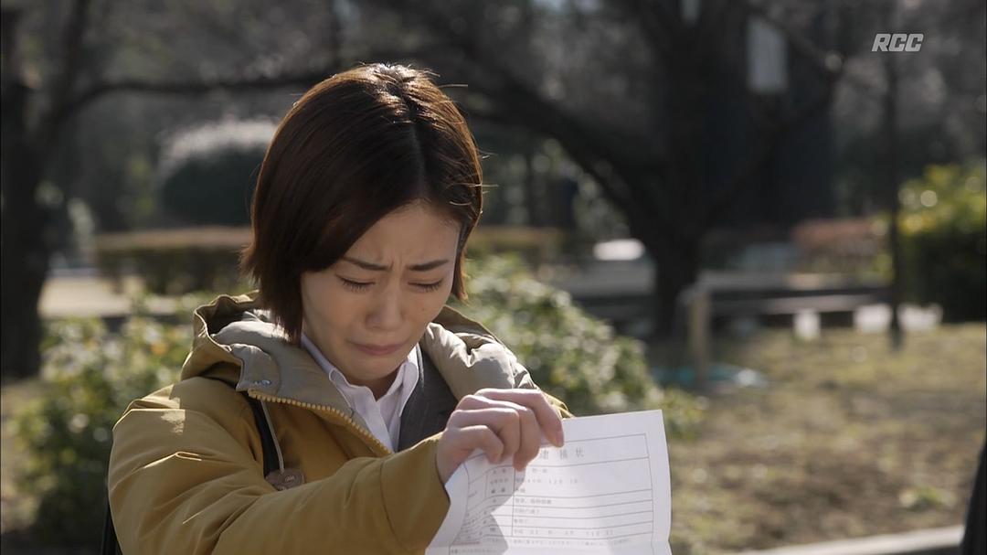 《警察之家》海报第32张图片