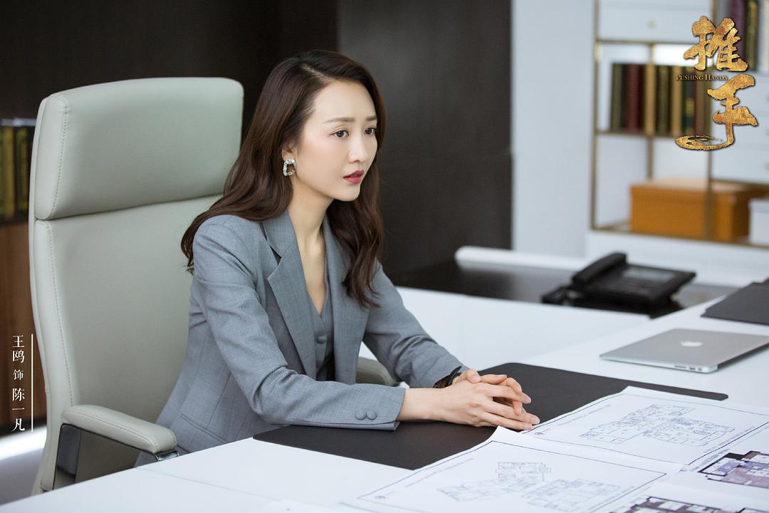 《推手》海报第17张图片