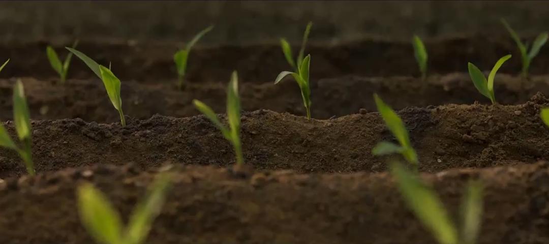 《驭风男孩》海报第13张图片
