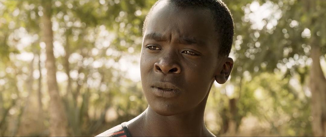 《驭风男孩》海报第25张图片