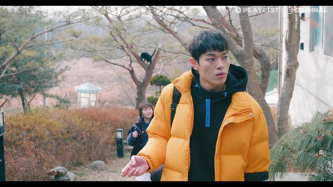 EP09.树上那黑猫好大...