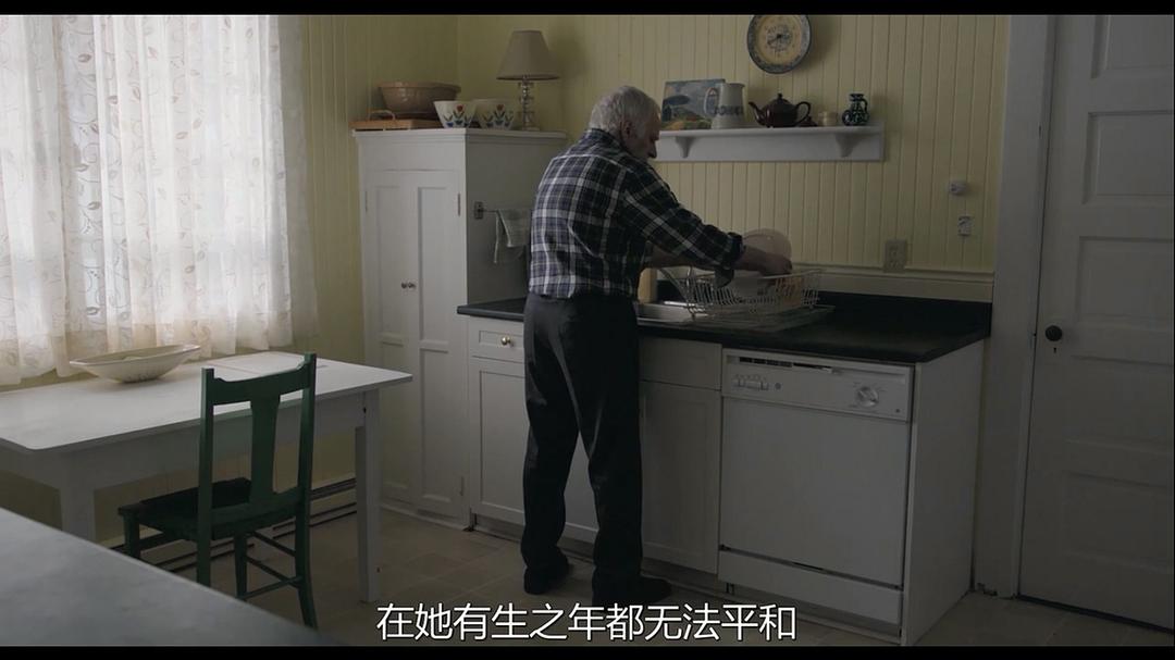 《老人日记》海报第13张图片