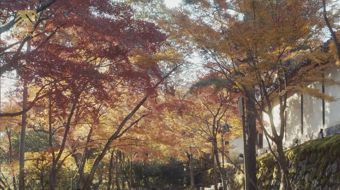 《平成细雪》剧照第19张图片 《平成细雪》剧照第19张图片