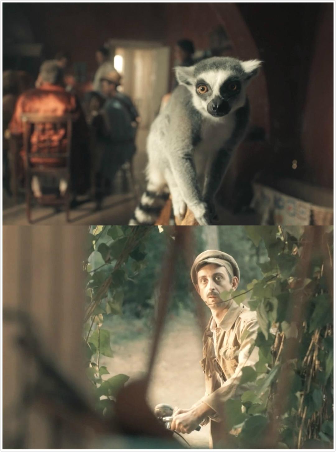 《德雷尔一家第四季》剧照第45张图片