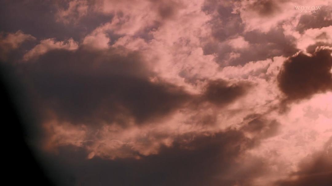 《绝叫》剧照第20张图片