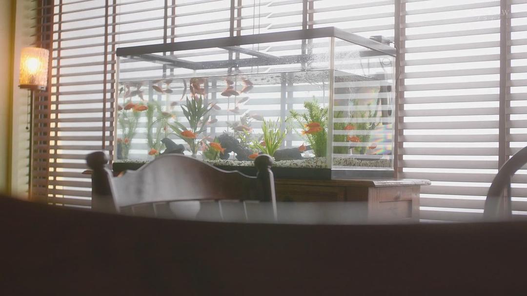 《绝叫》剧照第35张图片