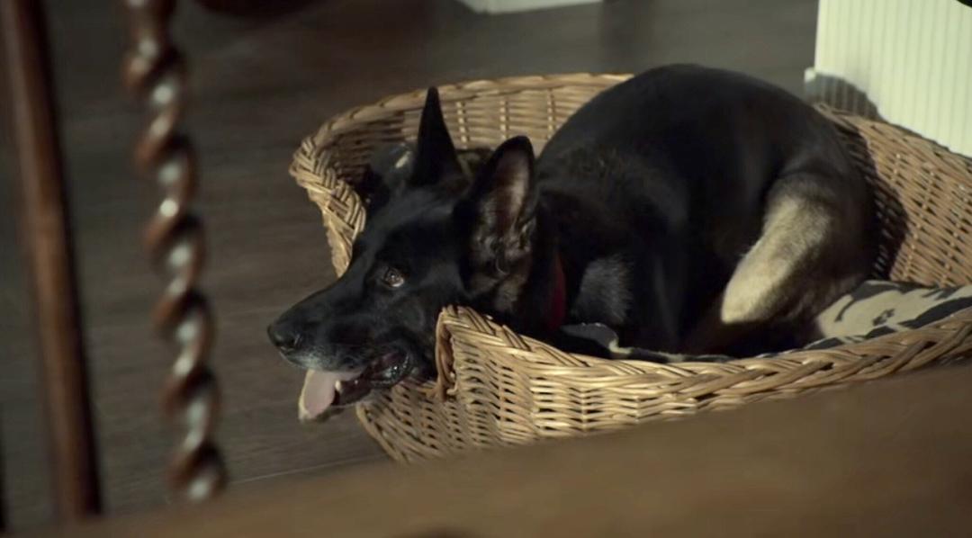 《后半生第一季》剧照第23张图片