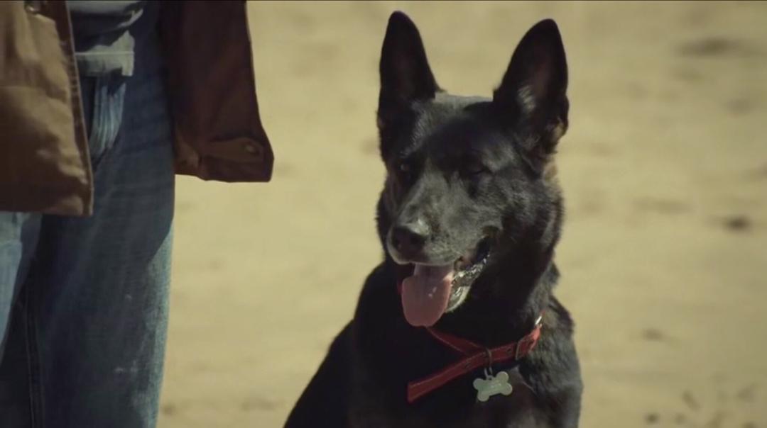 《后半生第一季》剧照第22张图片