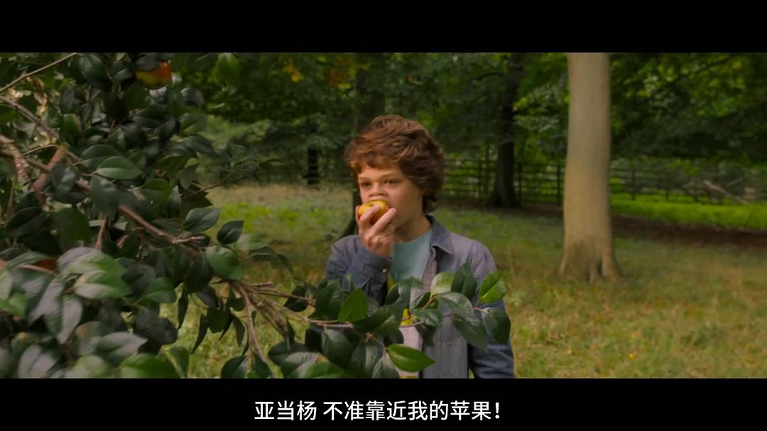 《好兆头》海报第42张图片