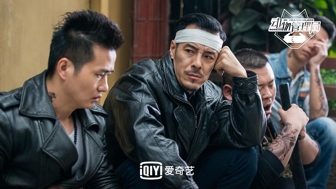 《动物管理局》海报第39张图片